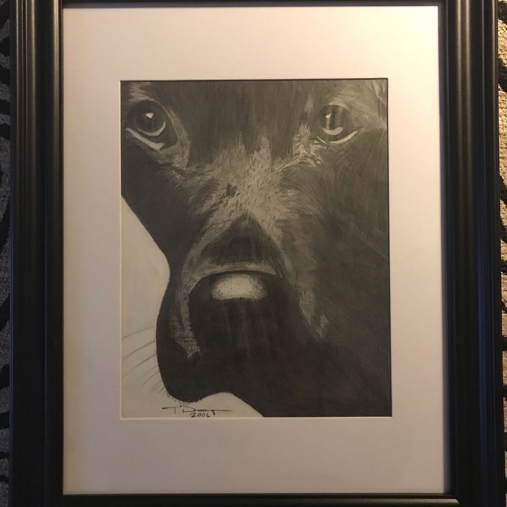 Black Lab Original pencil drawing
